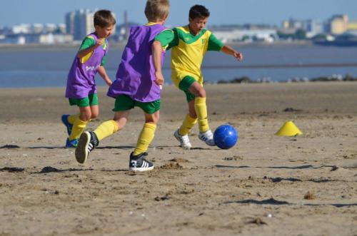 11056623 886265371452524 132480506123776311 o (1)